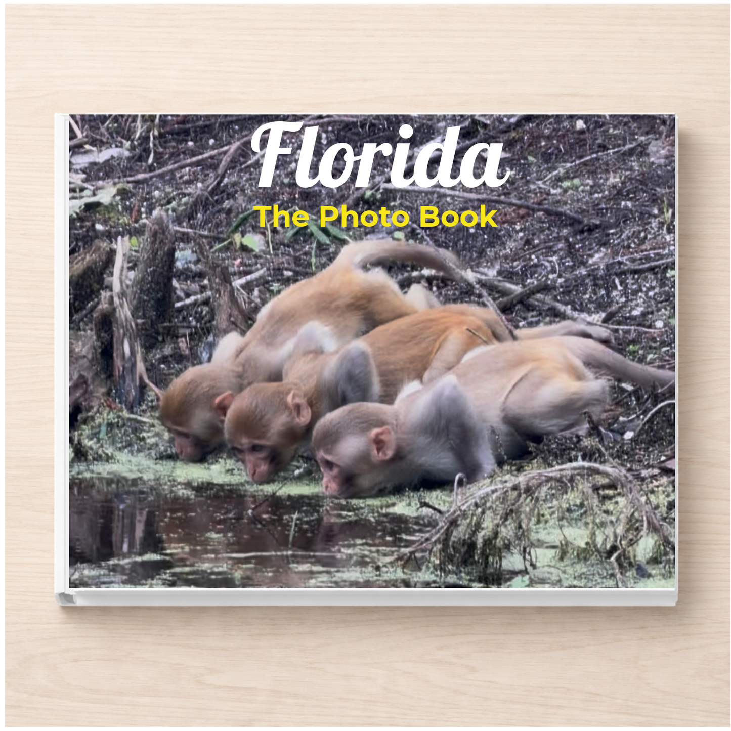 Florida: The Photo Book