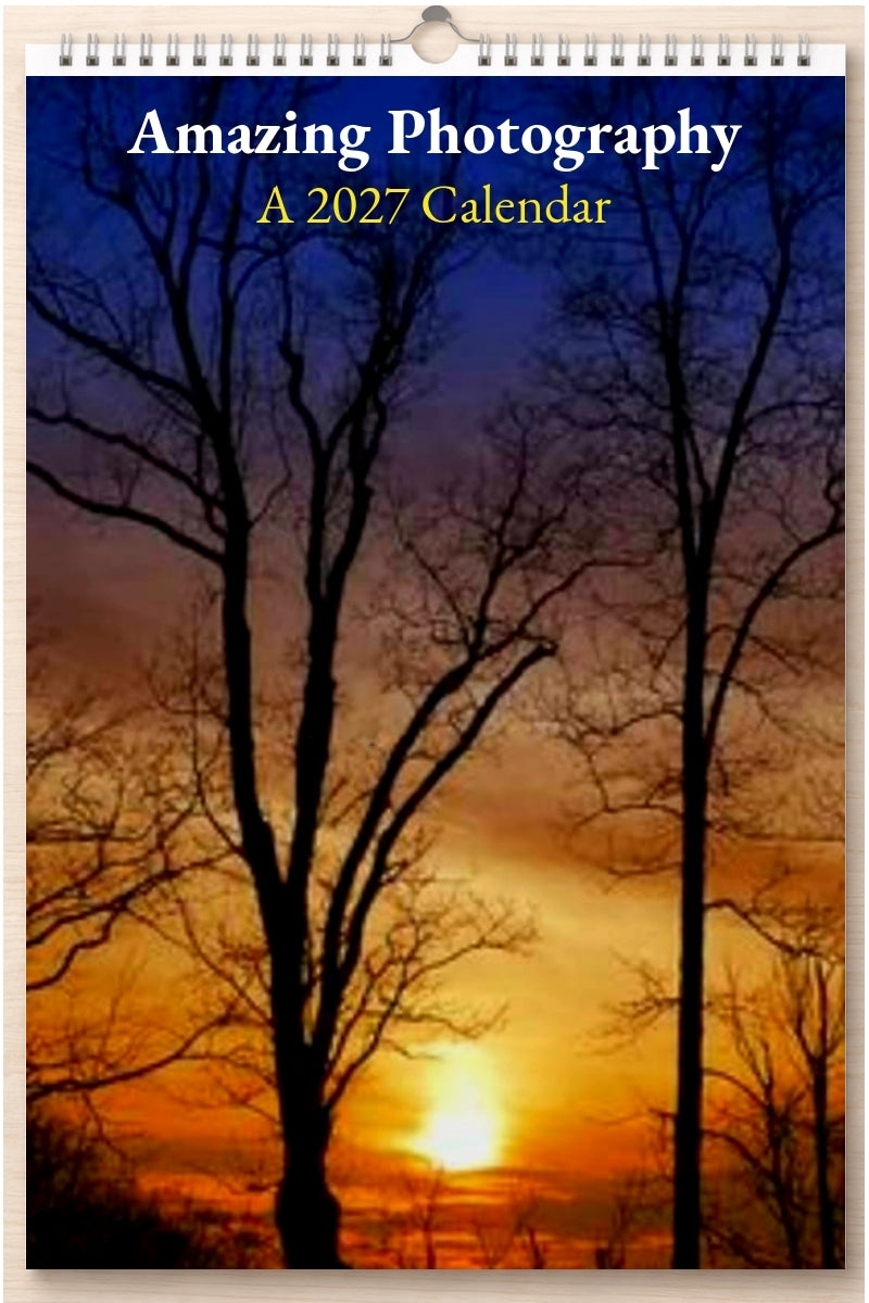 Amazing Photography: A 2027 Calendar