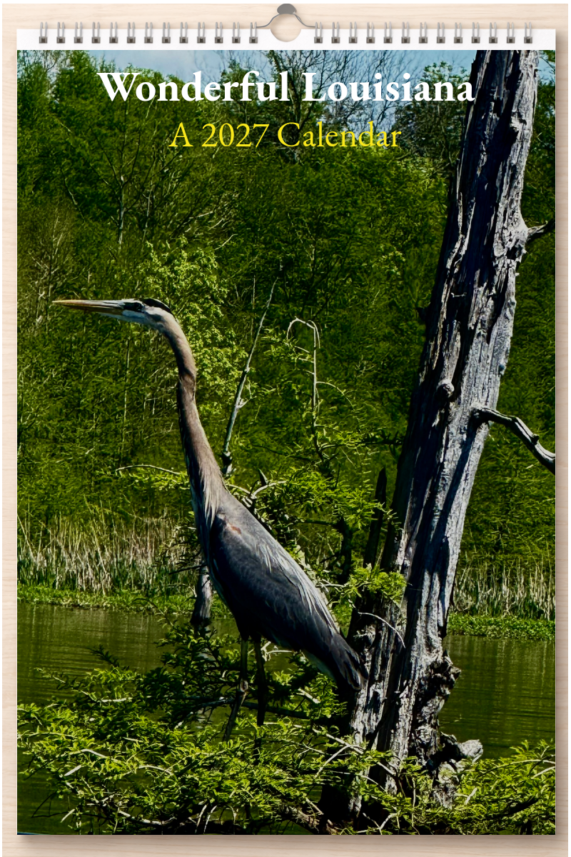 Wonderful Louisiana: A 2027 Calendar