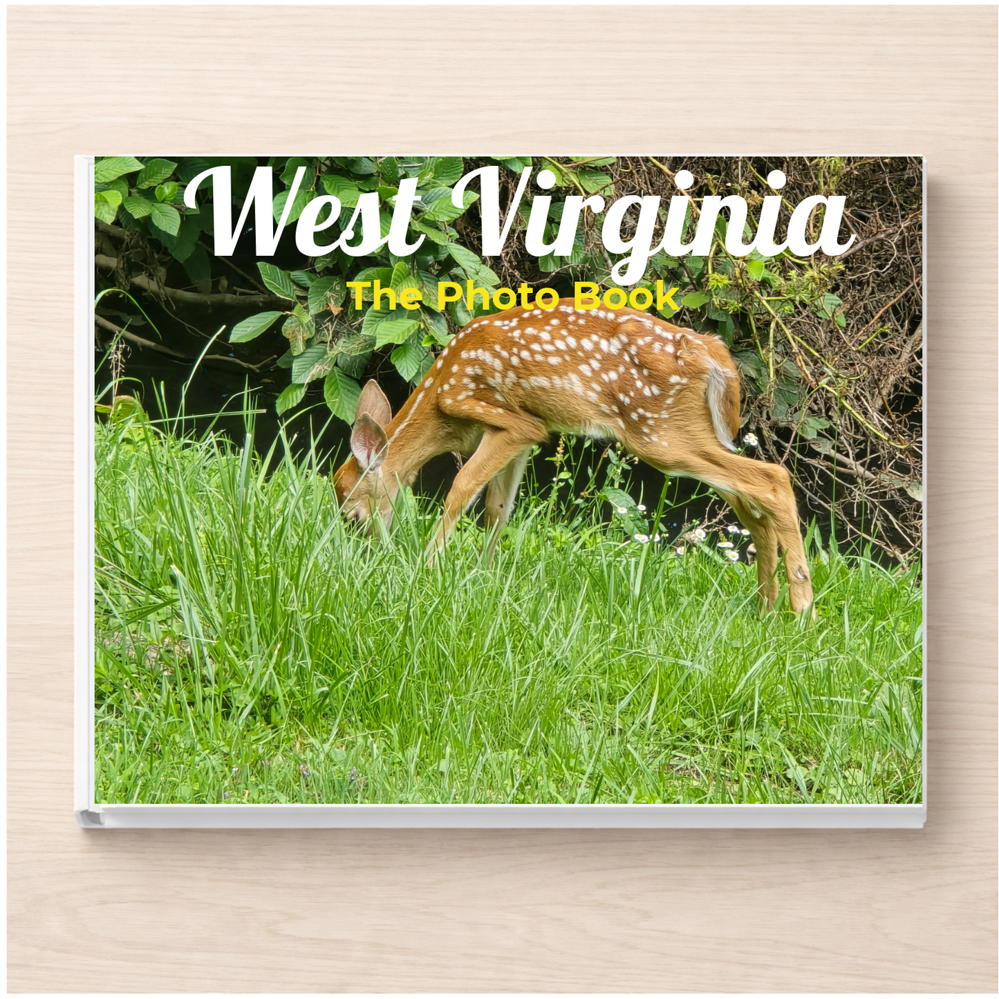 West Virginia: The Photo Book
