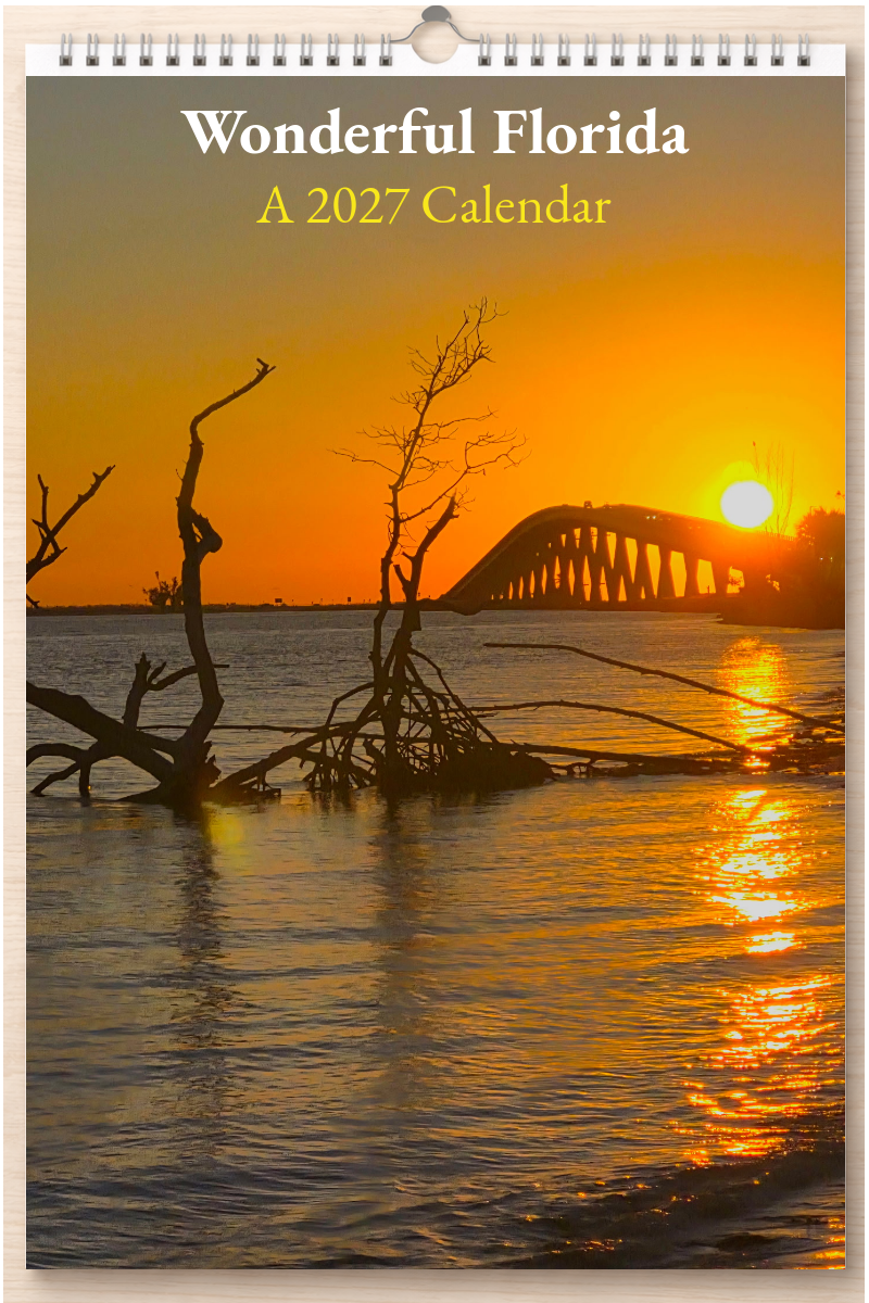 Wonderful Florida: A 2027 Calendar