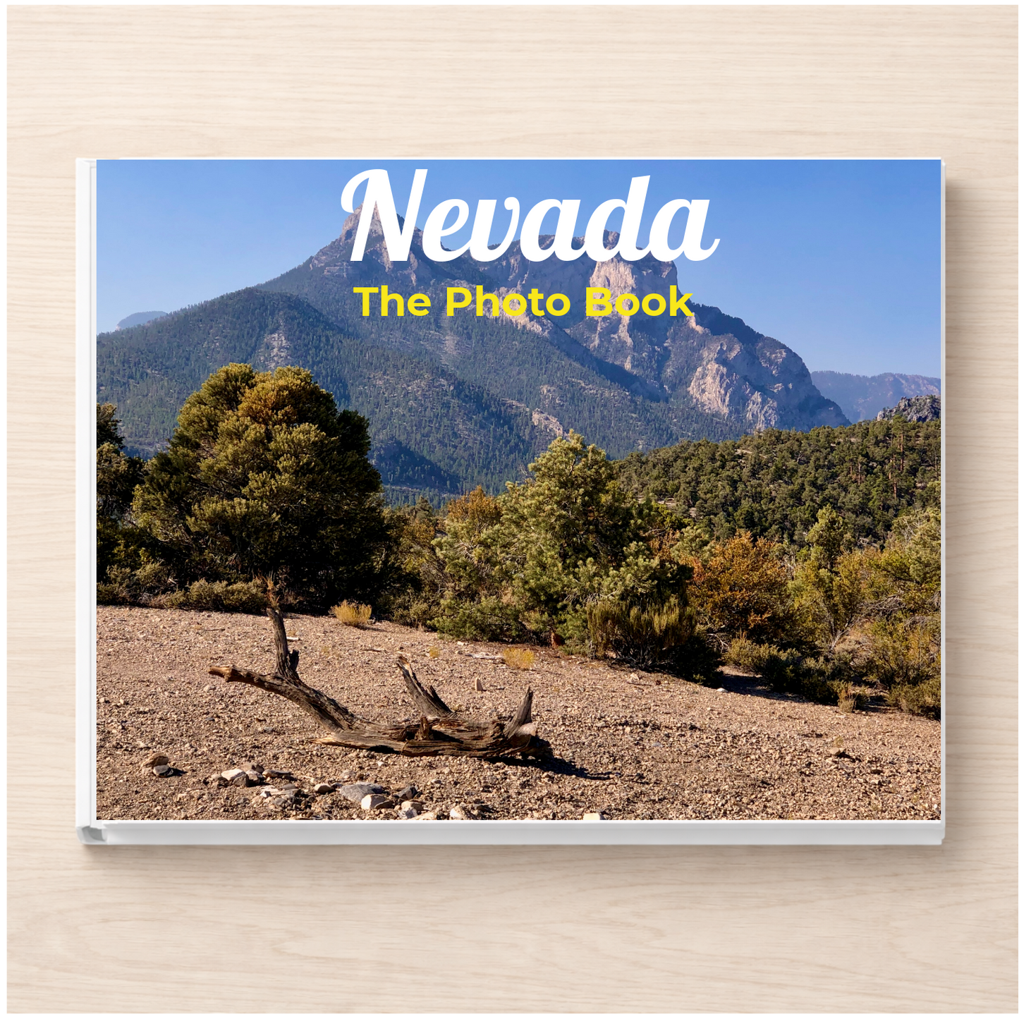 Nevada: The Photo Book