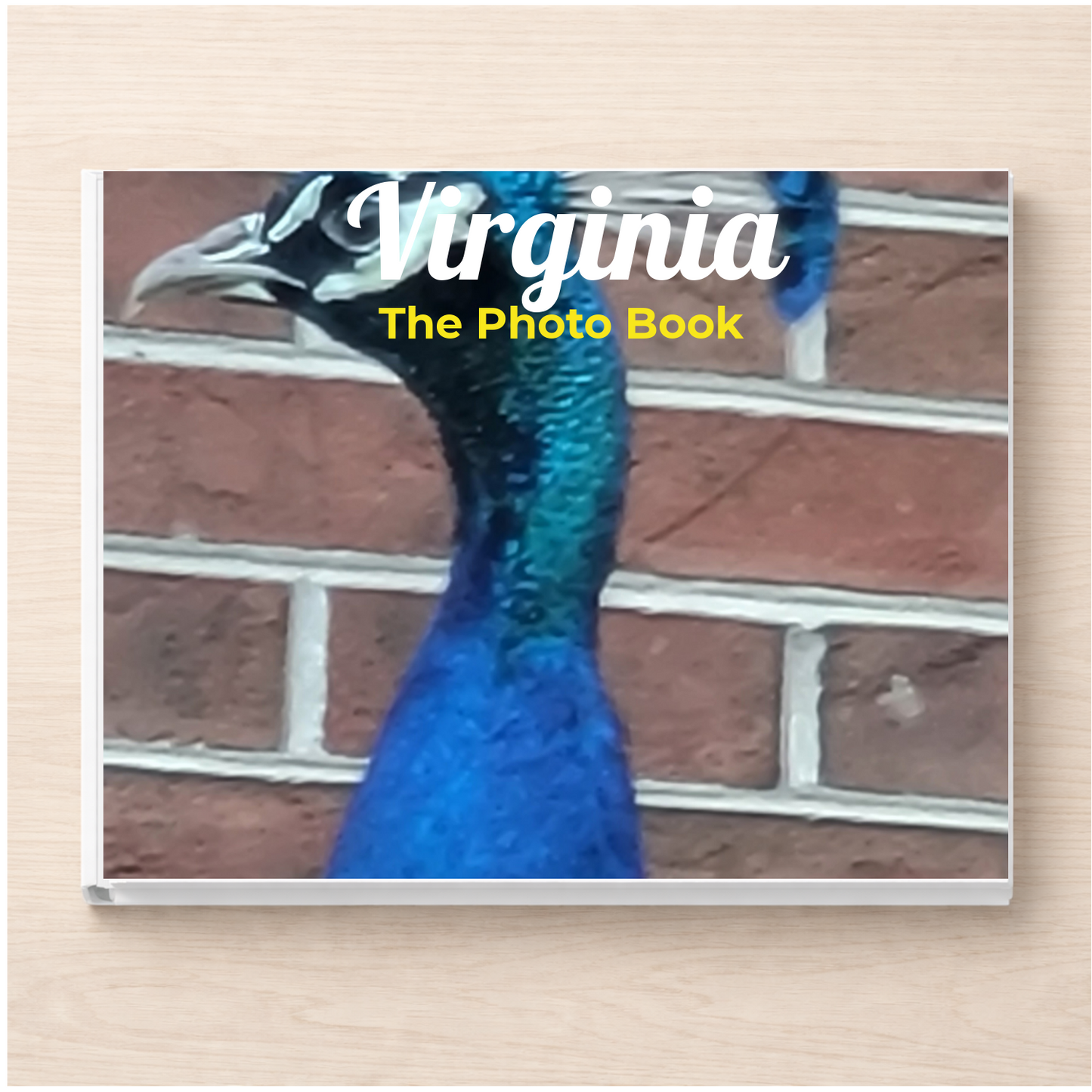 Virginia: The Photo Book