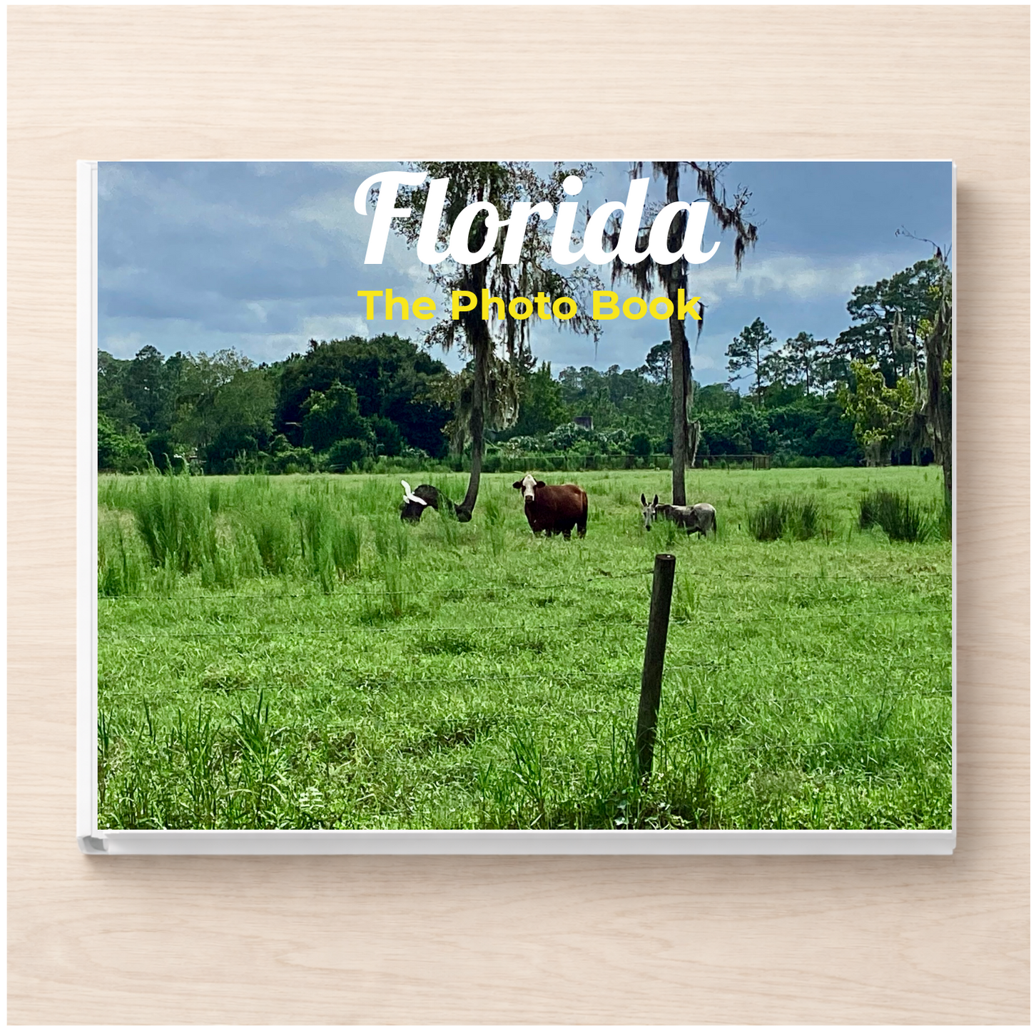 Florida: The Photo Book