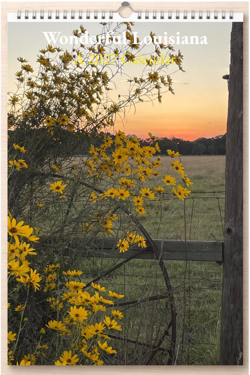 Wonderful Louisiana: A 2027 Calendar