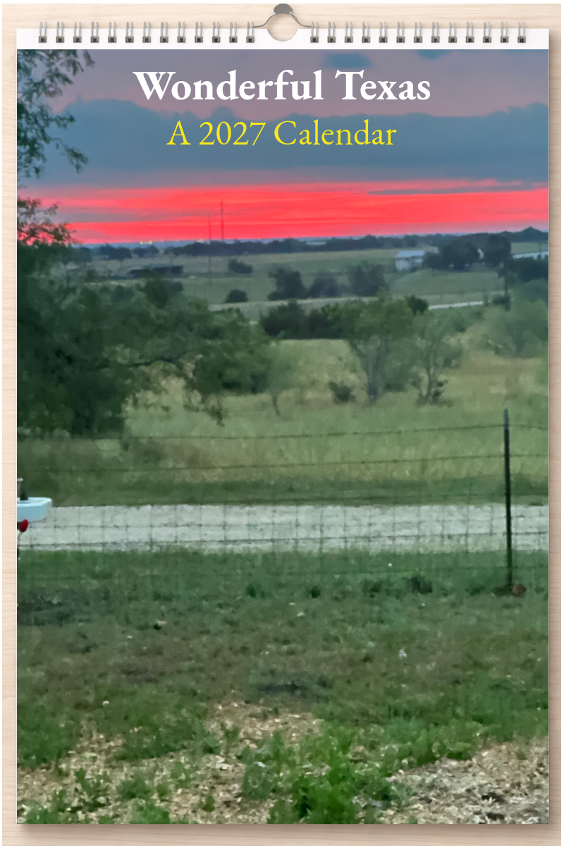 Wonderful Texas: A 2027 Calendar