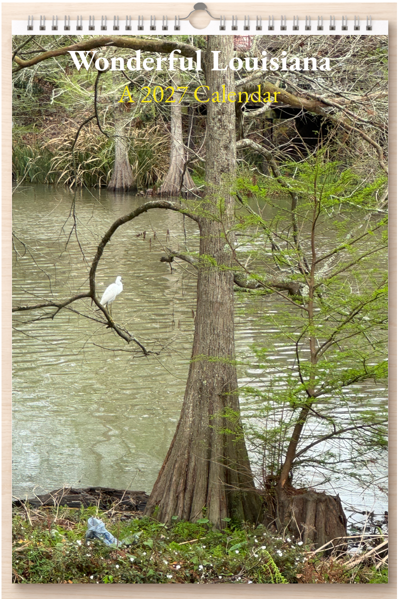 Wonderful Louisiana: A 2027 Calendar