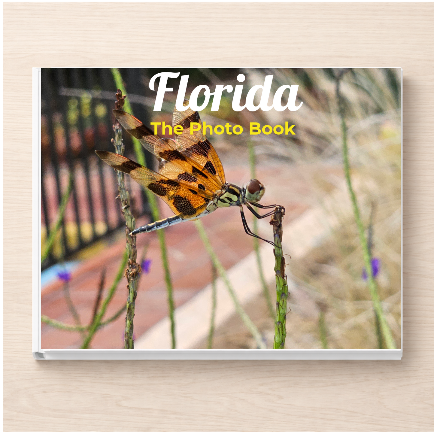 Florida: The Photo Book