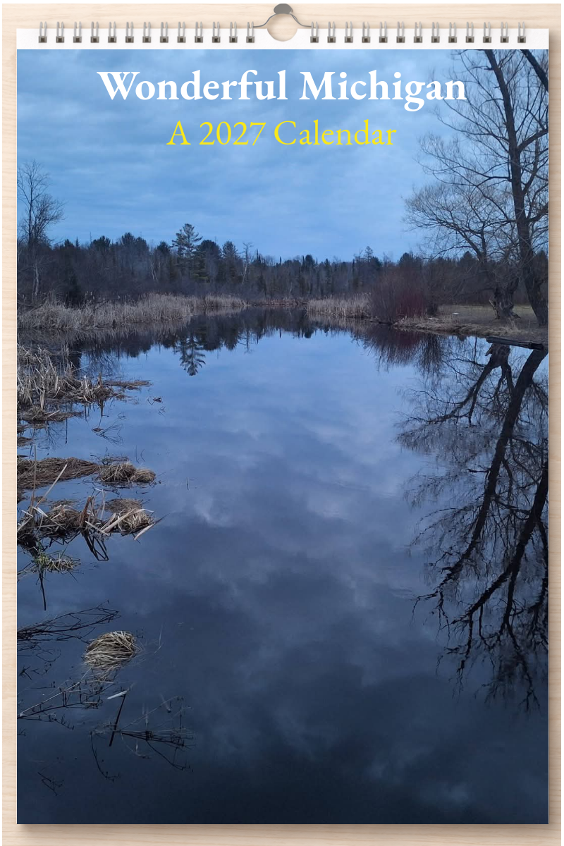 Wonderful Michigan: A 2027 Calendar