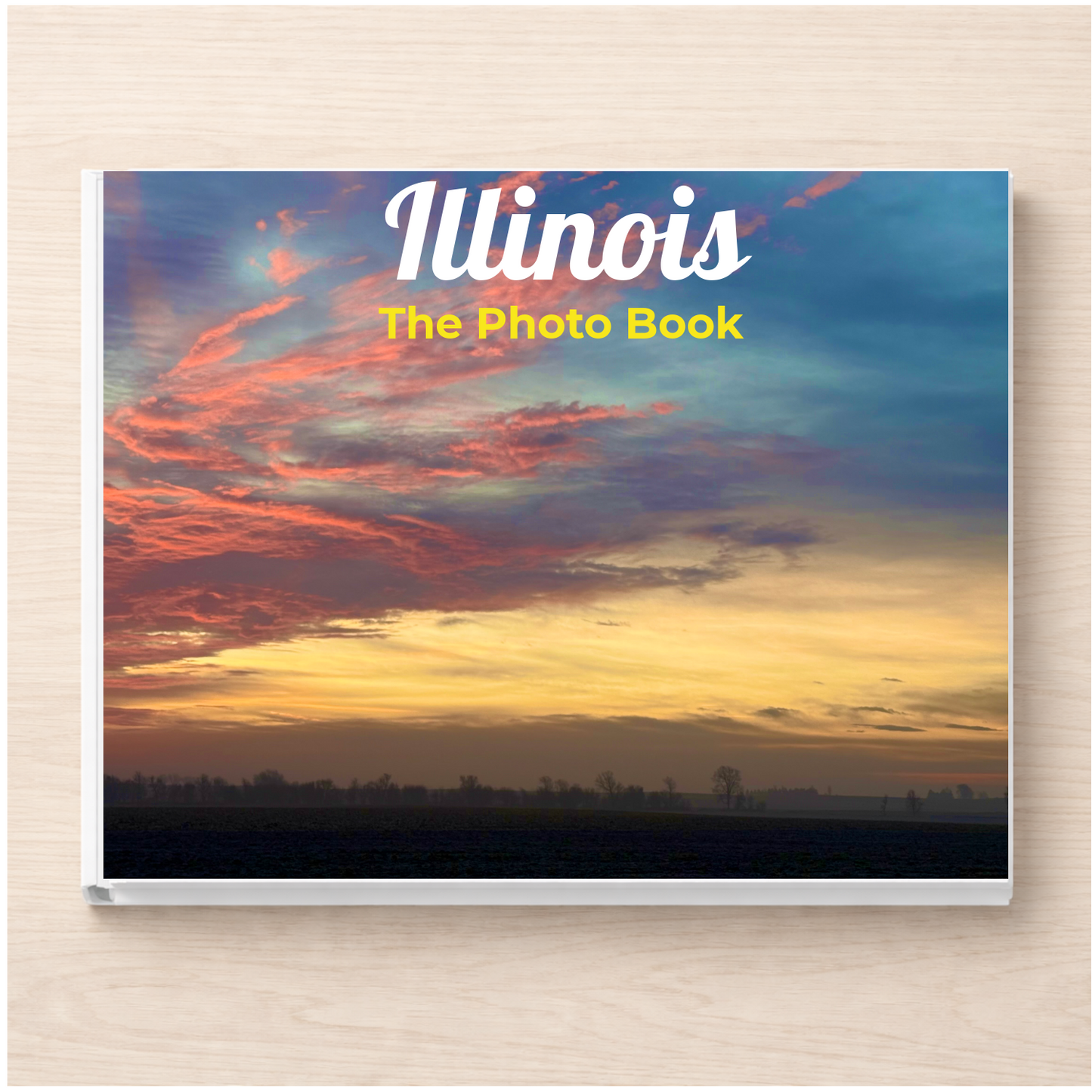 Illinois: The Photo Book
