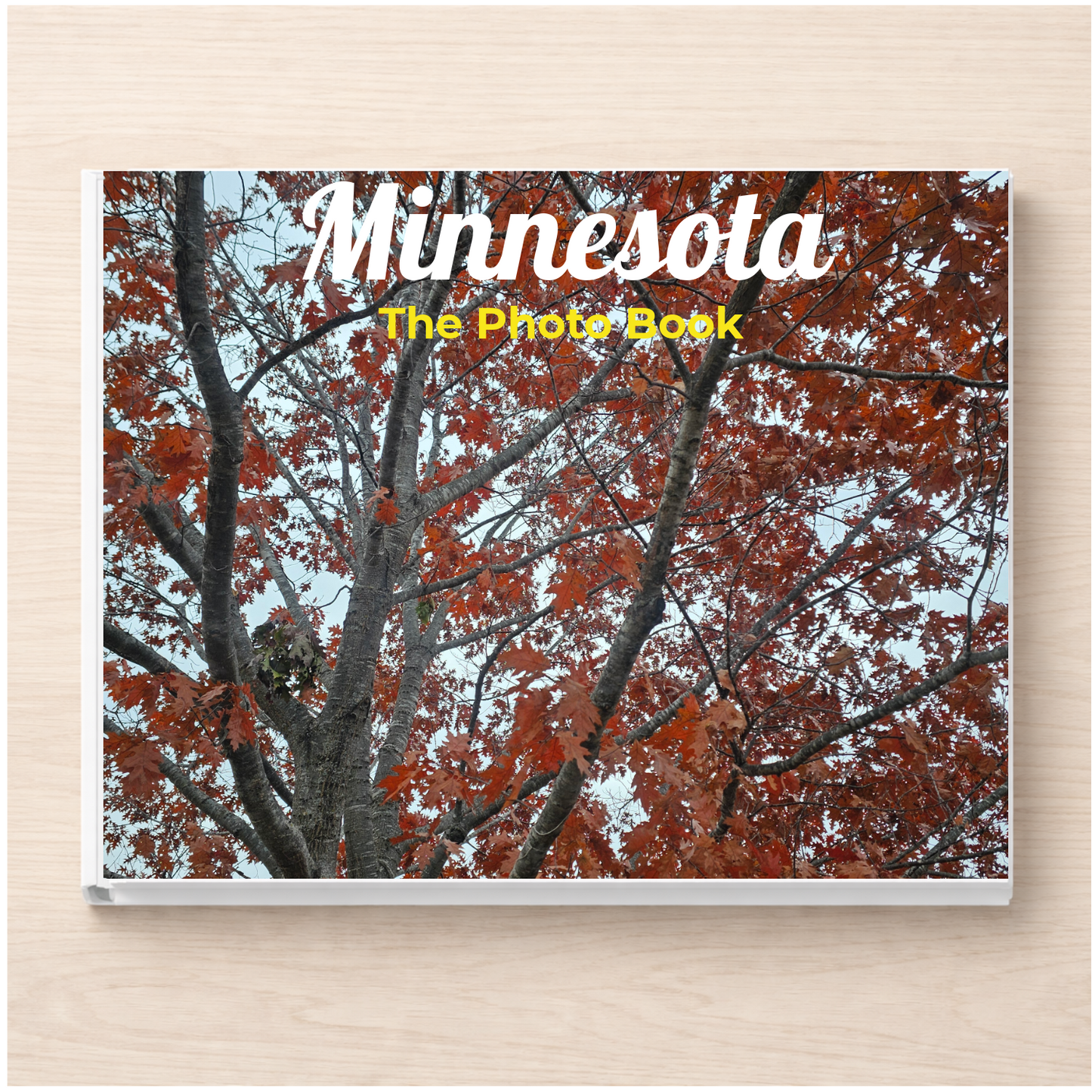 Minnesota: The Photo Book