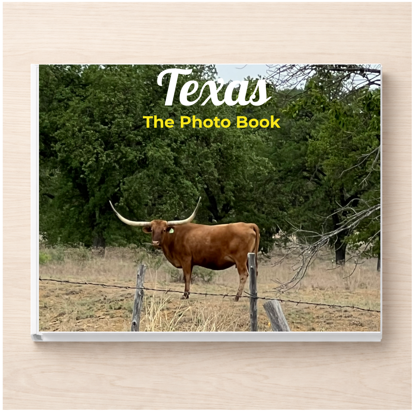 Texas: The Photo Book