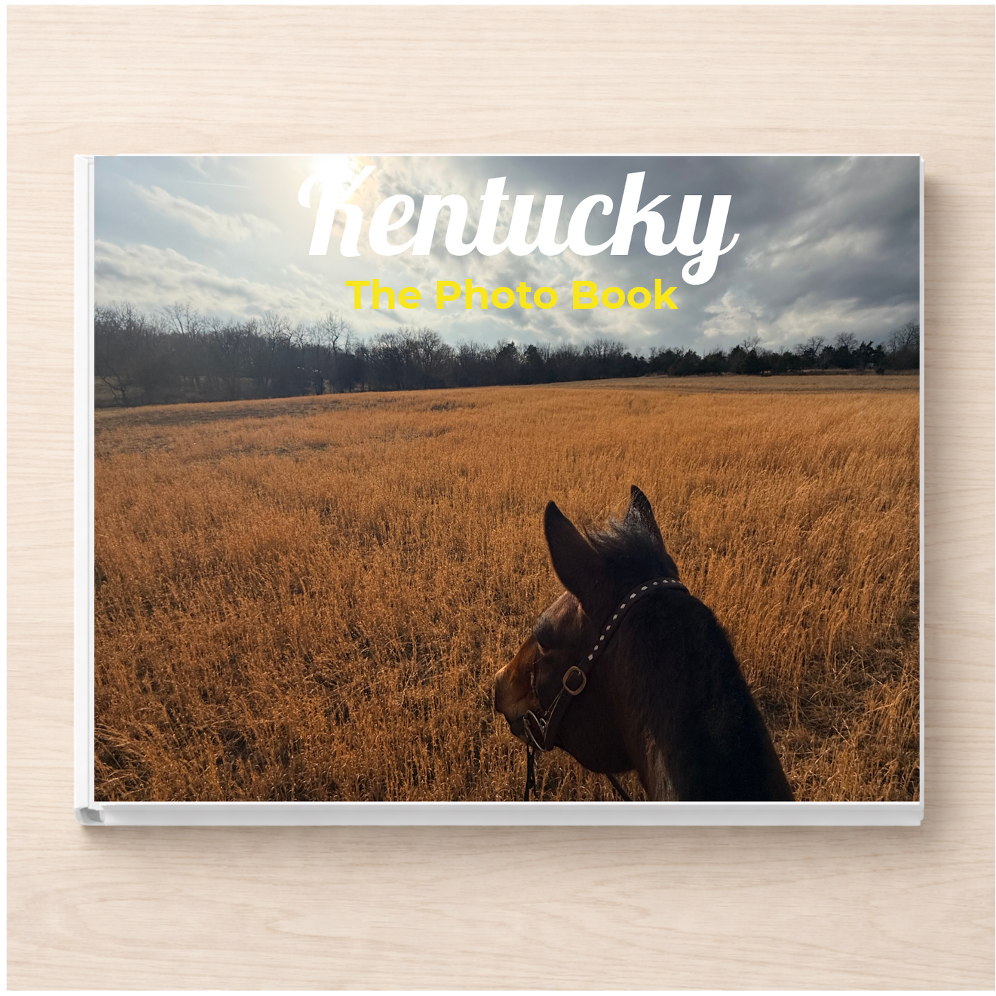 Kentucky: The Photo Book
