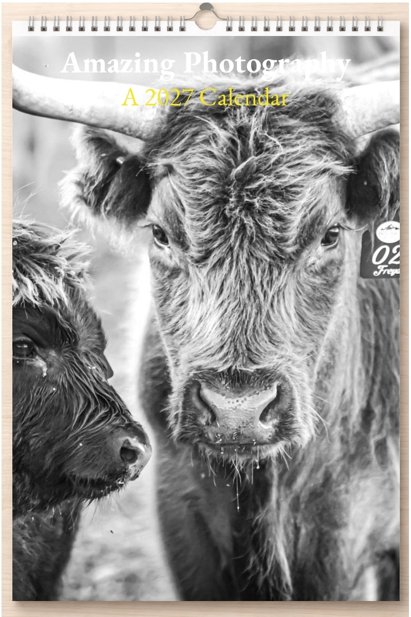 Amazing Photography: A 2027 Calendar