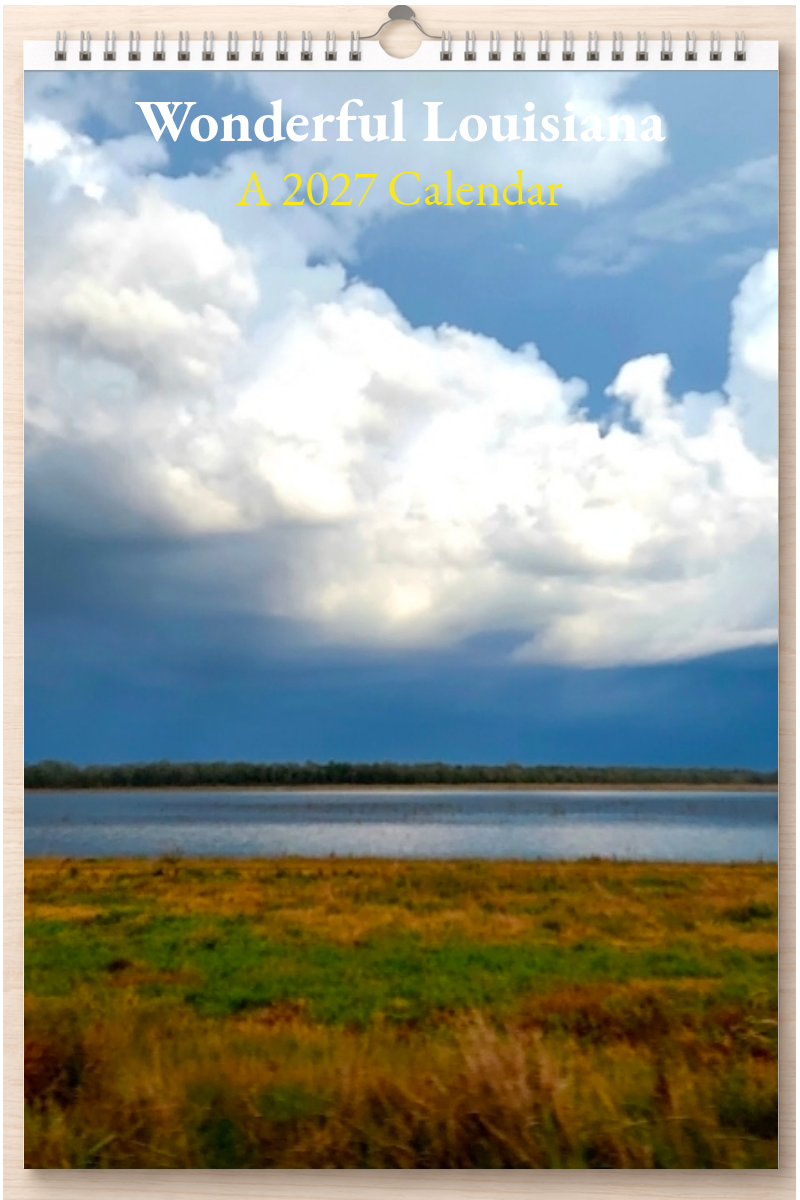 Wonderful Louisiana: A 2027 Calendar