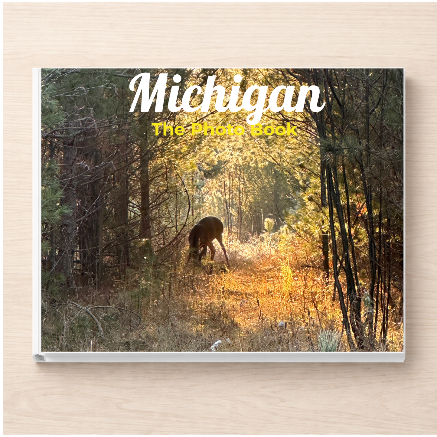 Michigan: The Photo Book