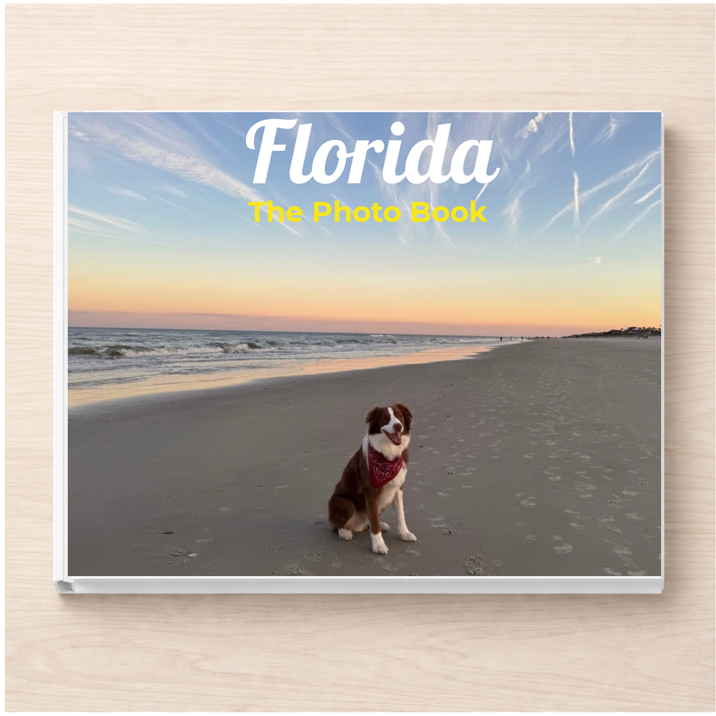 Florida: The Photo Book