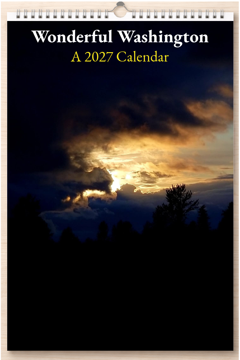 Wonderful Washington: A 2027 Calendar