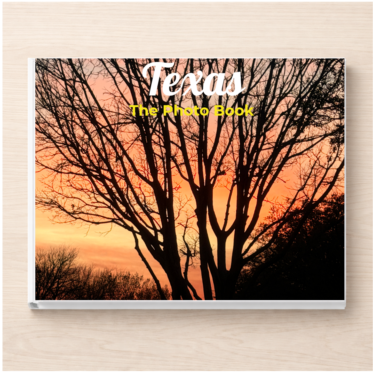 Texas: The Photo Book
