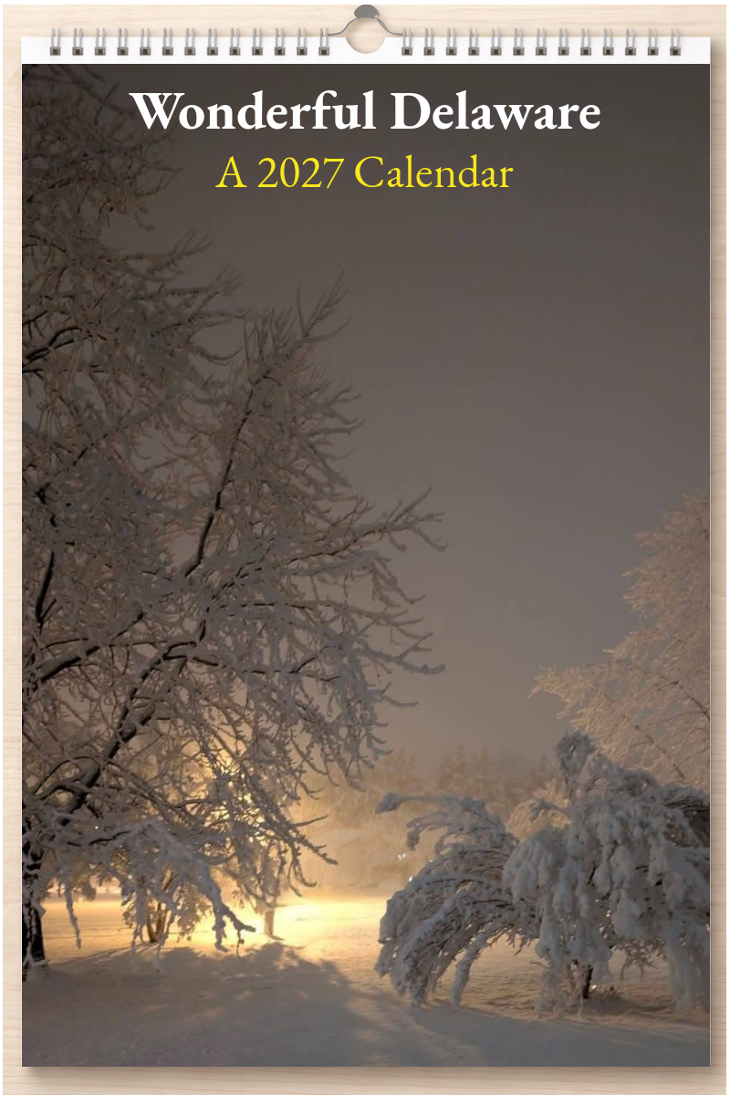 Wonderful Delaware: A 2027 Calendar