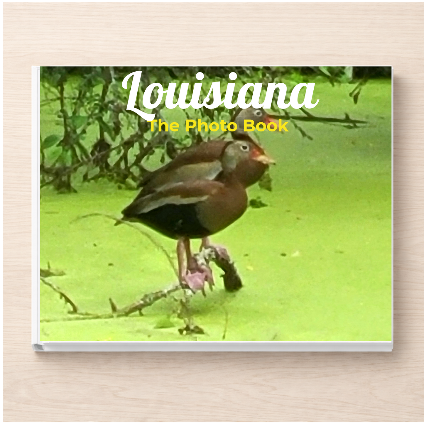 Louisiana: The Photo Book