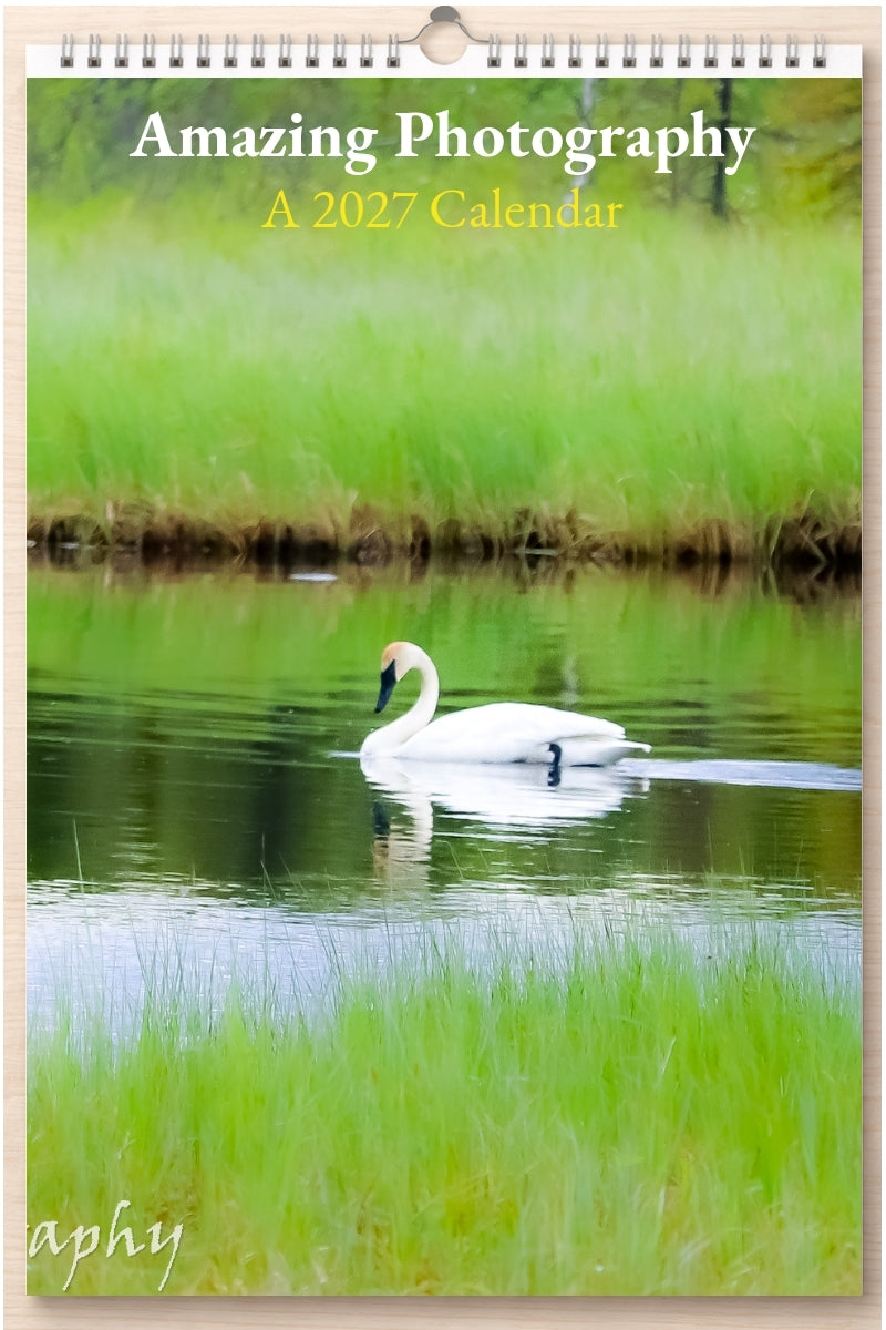 Amazing Photography: A 2027 Calendar