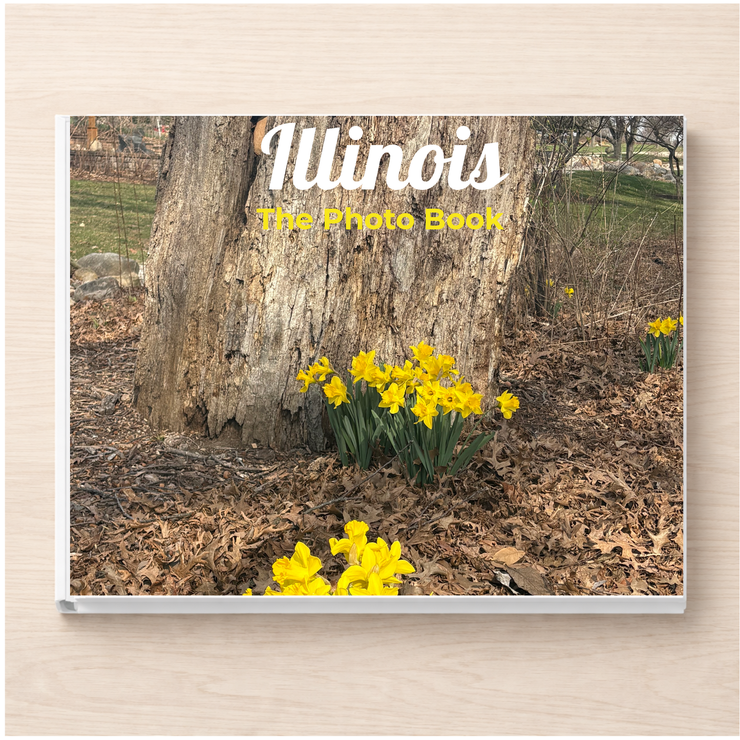 Illinois: The Photo Book