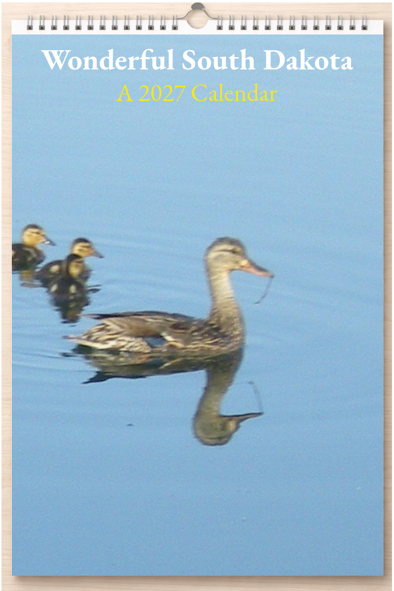 Wonderful South Dakota: A 2027 Calendar