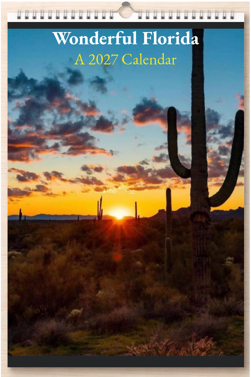 Wonderful Florida: A 2027 Calendar