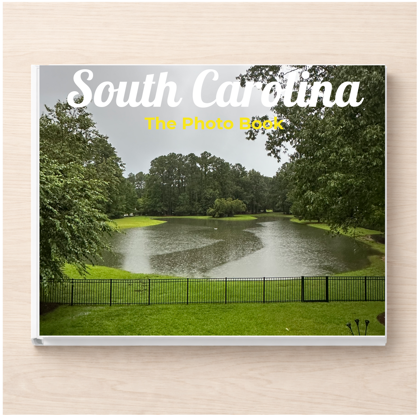 South Carolina: The Photo Book