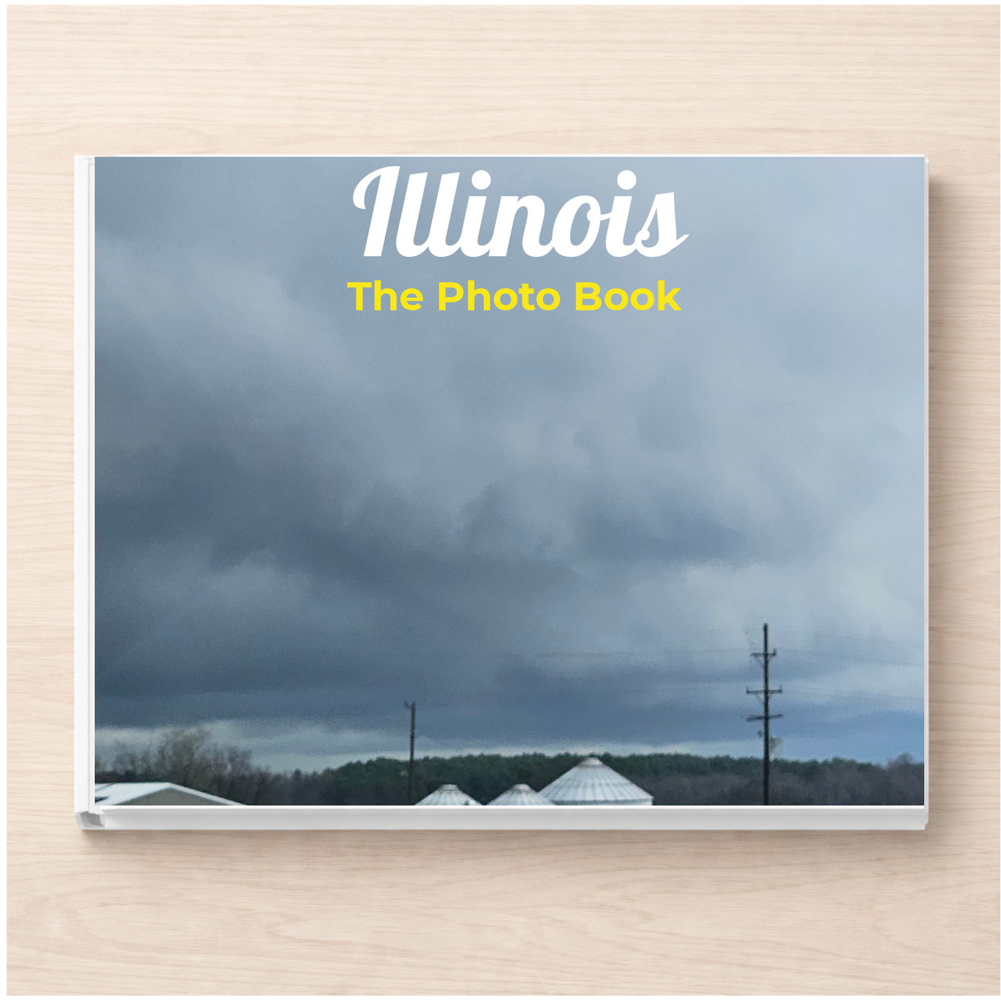 Illinois: The Photo Book