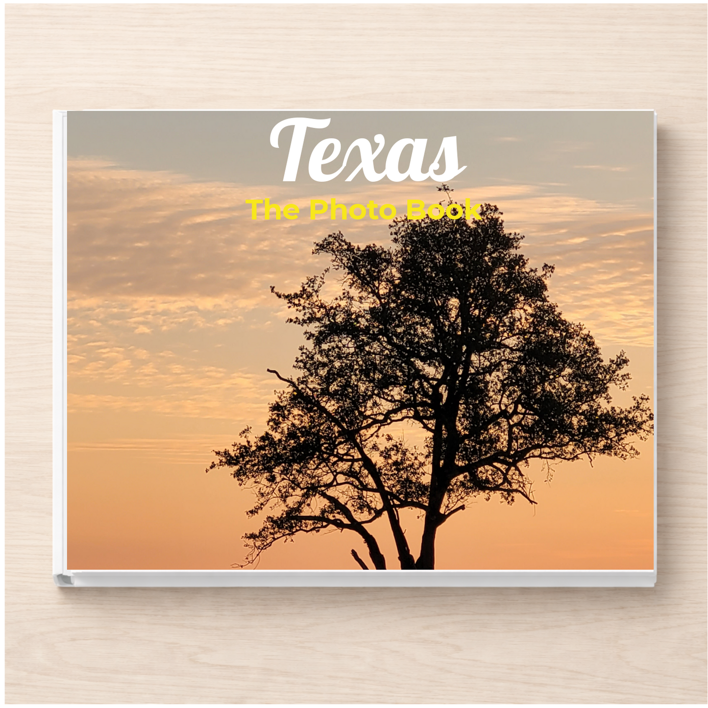Texas: The Photo Book