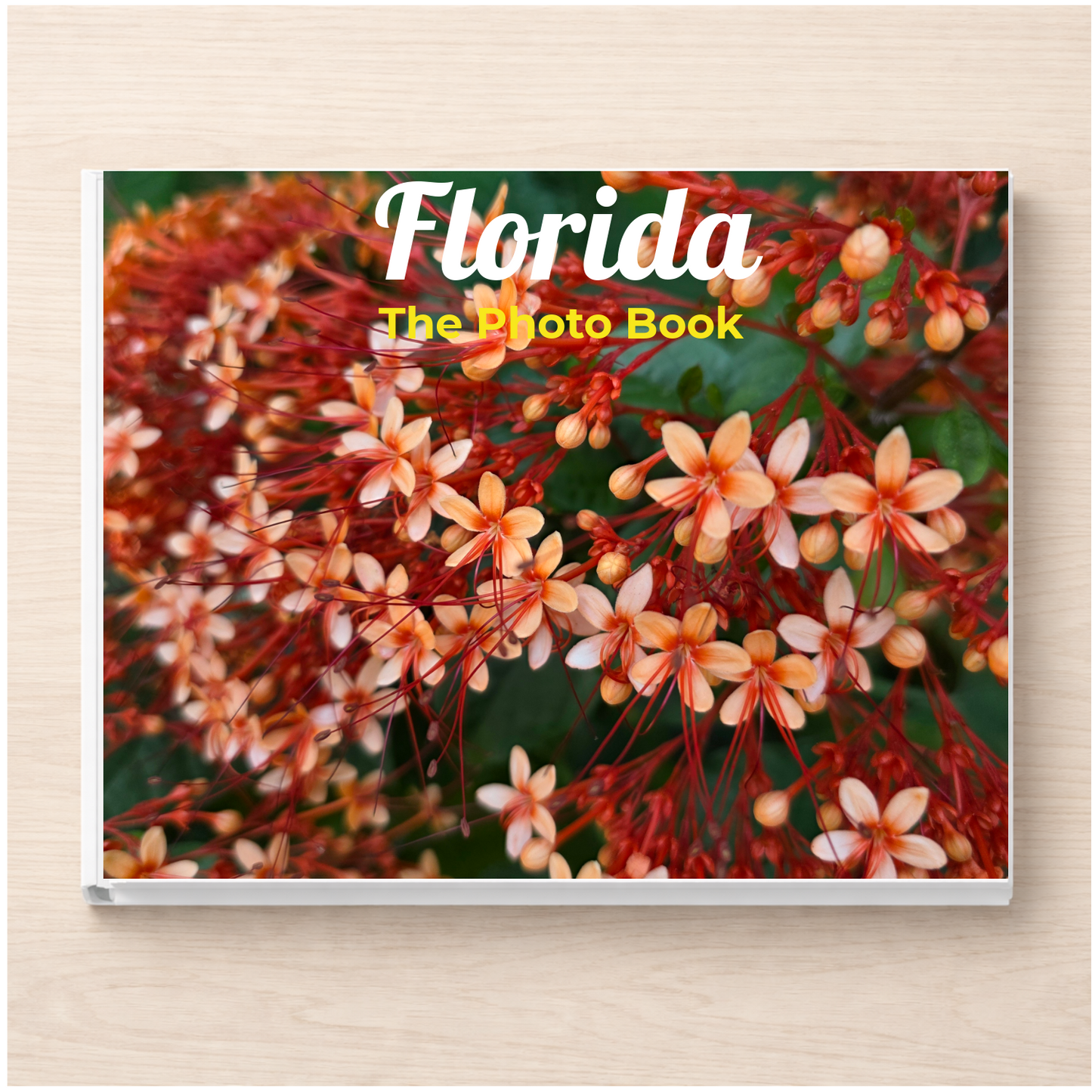 Florida: The Photo Book