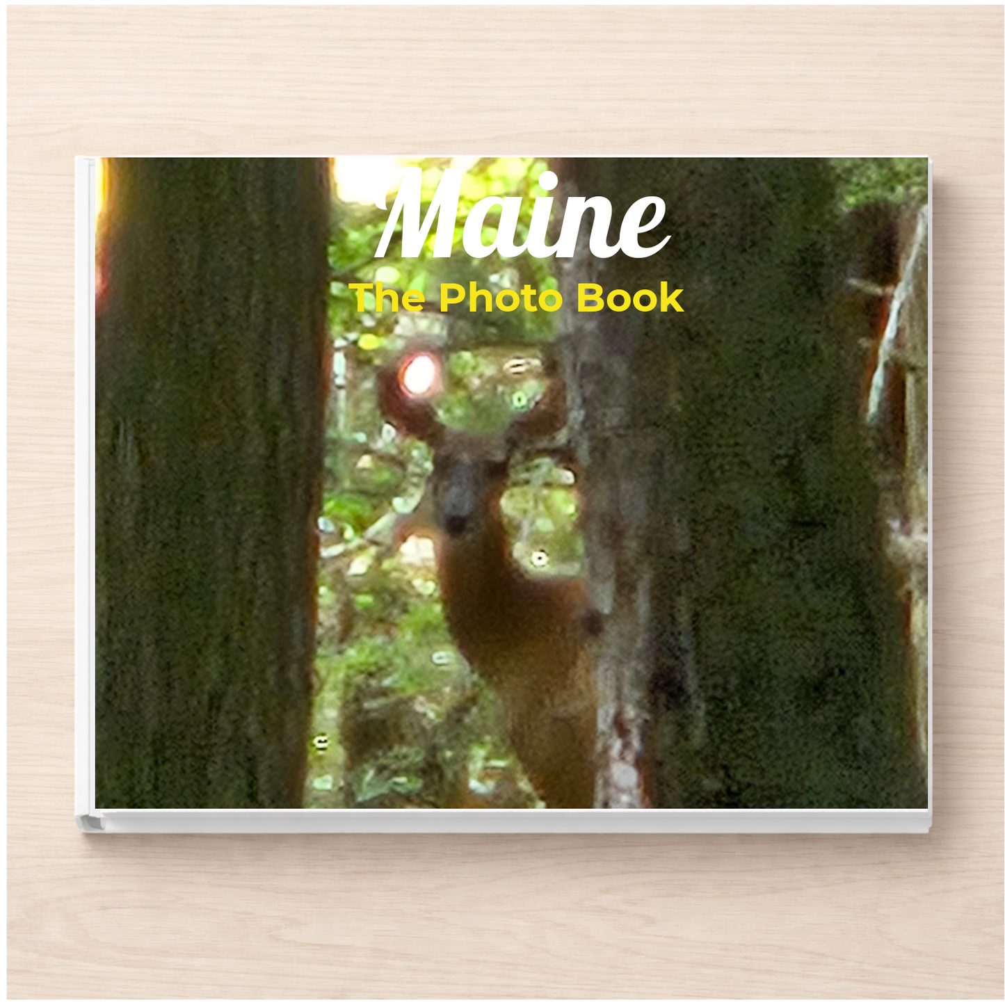 Maine: The Photo Book