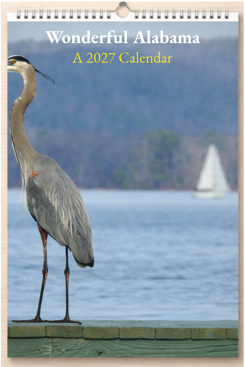 Wonderful Alabama: A 2027 Calendar