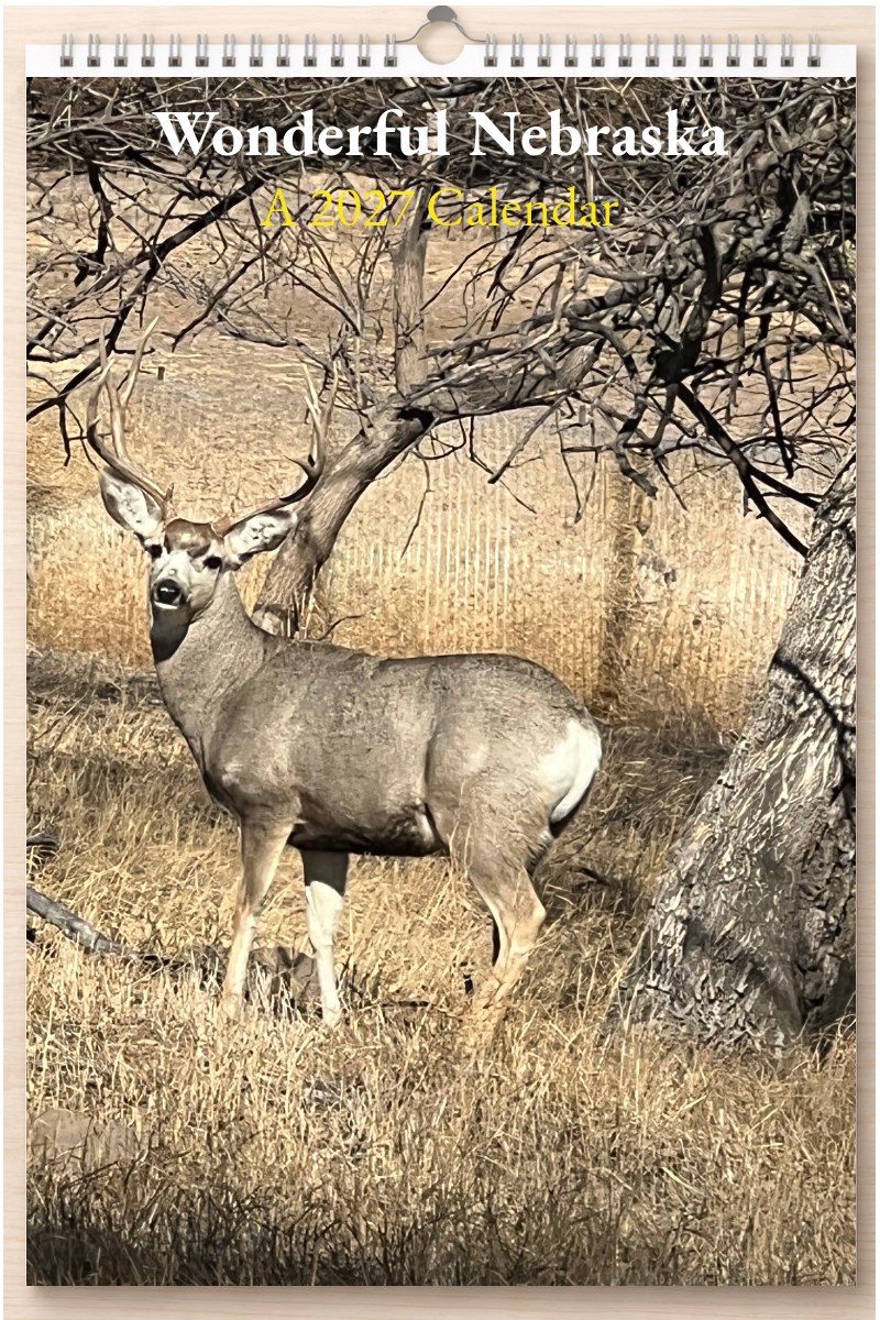 Wonderful Nebraska: A 2027 Calendar