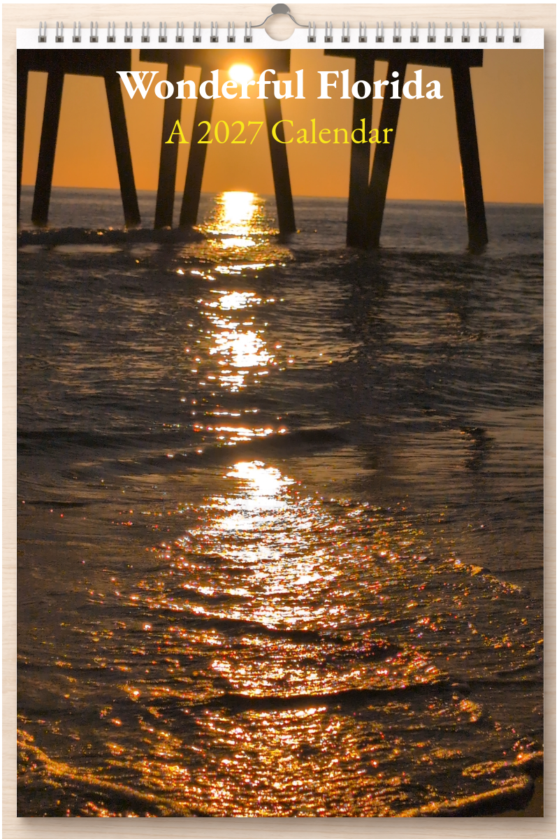 Wonderful Florida: A 2027 Calendar