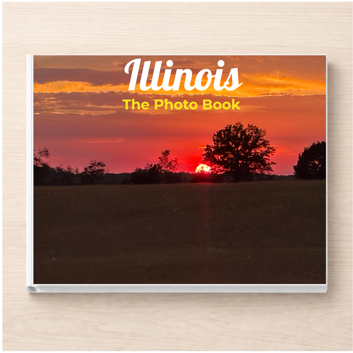 Illinois: The Photo Book