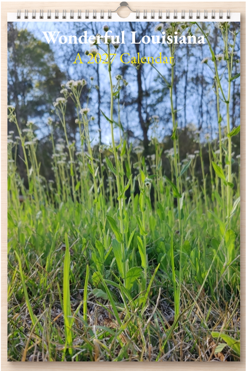 Wonderful Louisiana: A 2027 Calendar