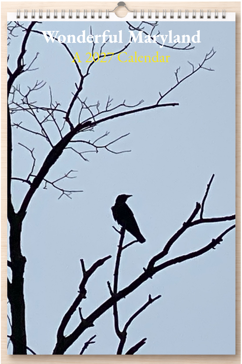 Wonderful Maryland: A 2027 Calendar