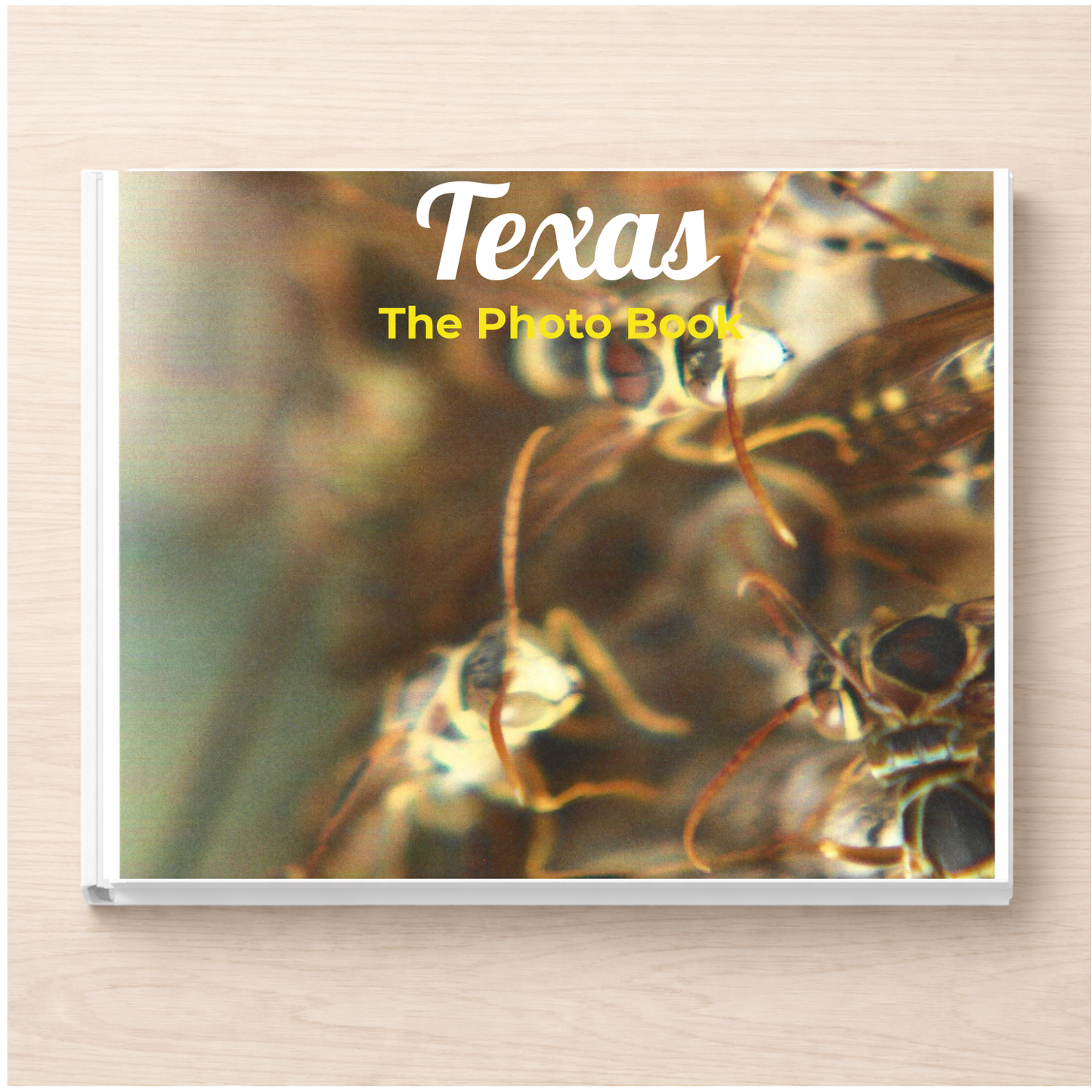 Texas: The Photo Book