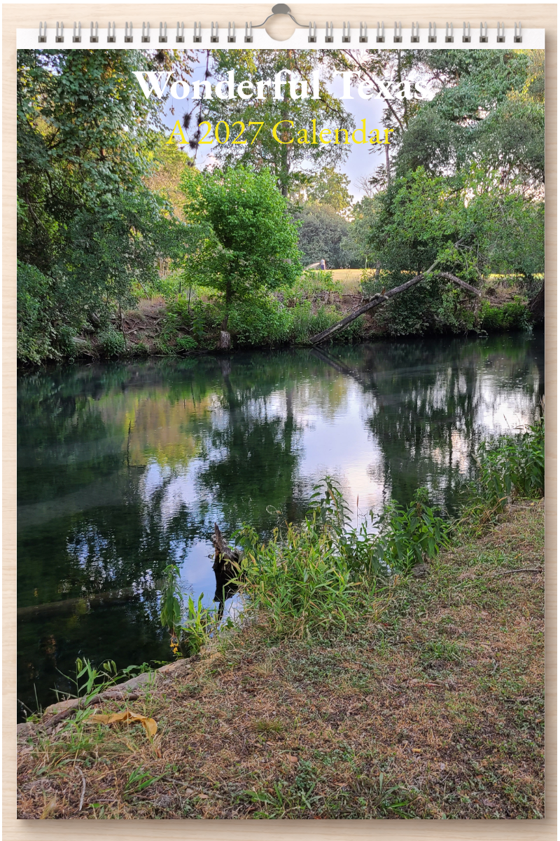 Wonderful Texas: A 2027 Calendar