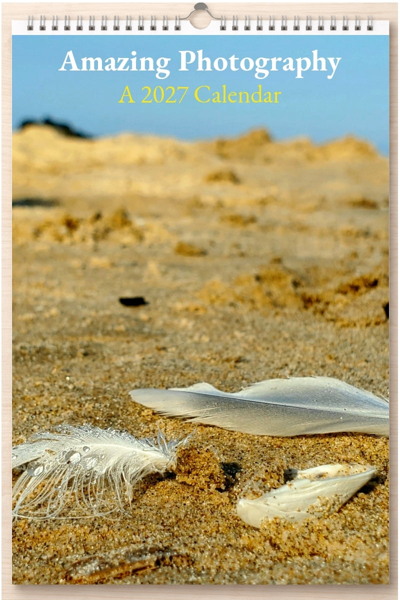 Amazing Photography: A 2027 Calendar