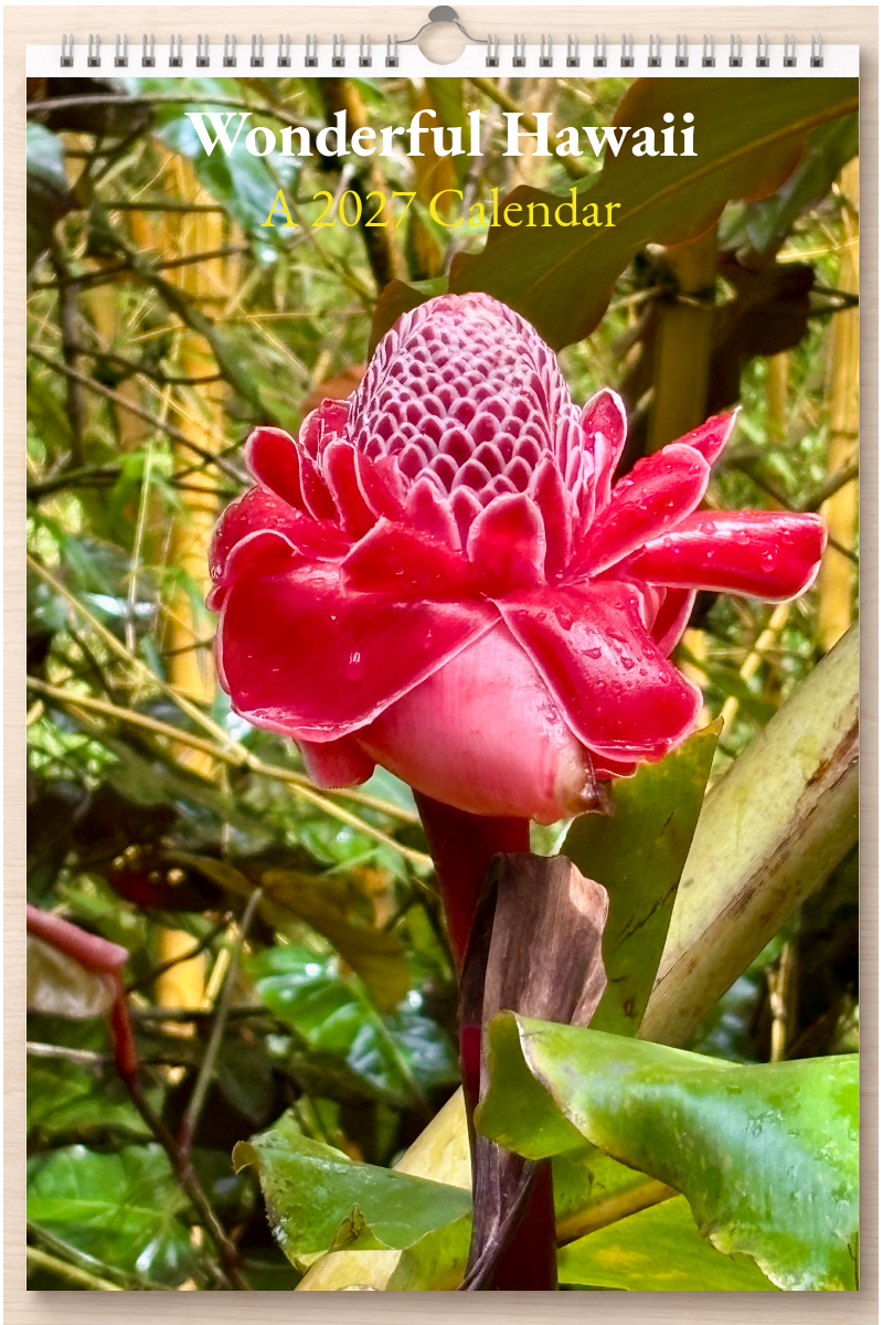 Wonderful Hawaii: A 2027 Calendar