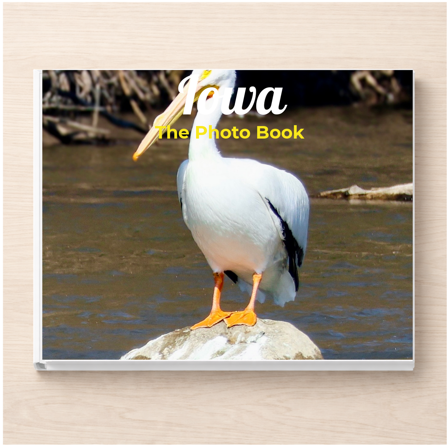Iowa: The Photo Book