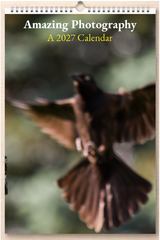 Amazing Photography: A 2027 Calendar