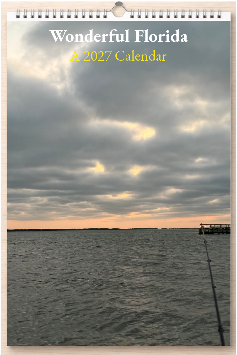 Wonderful Florida: A 2027 Calendar