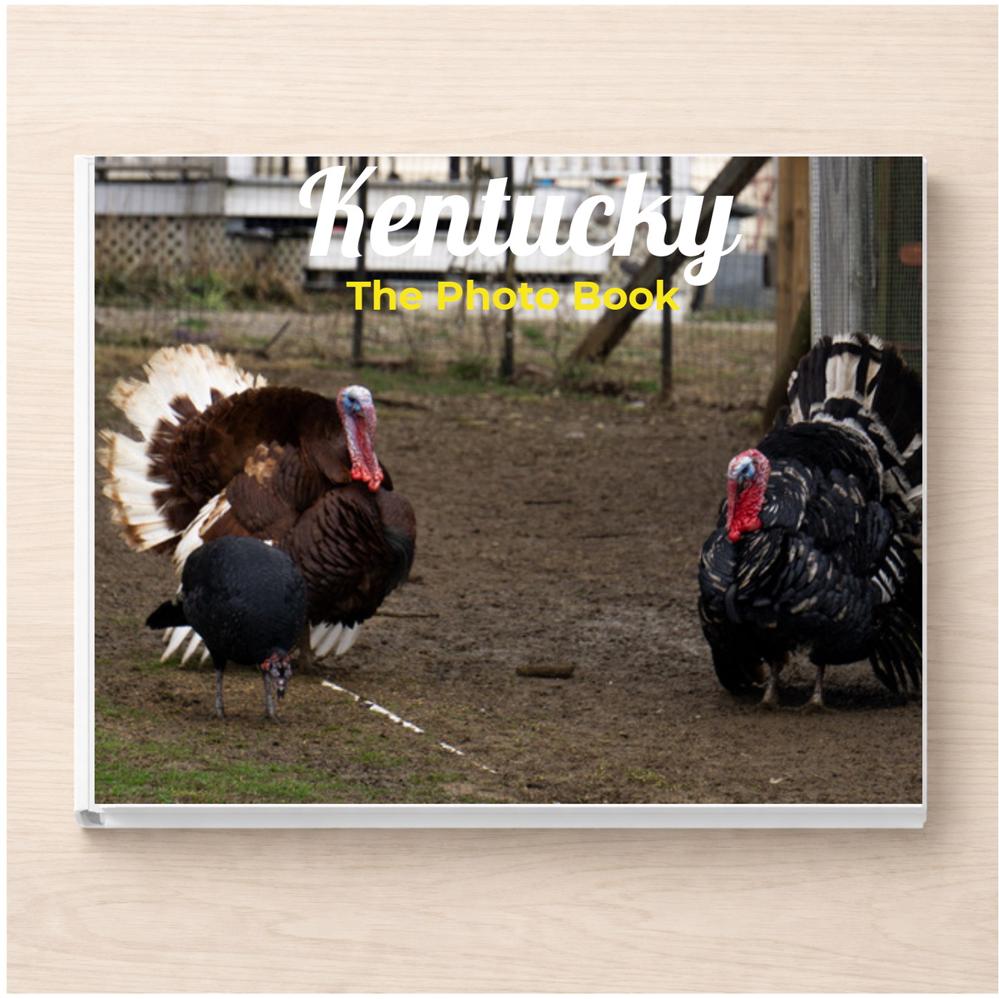 Kentucky: The Photo Book