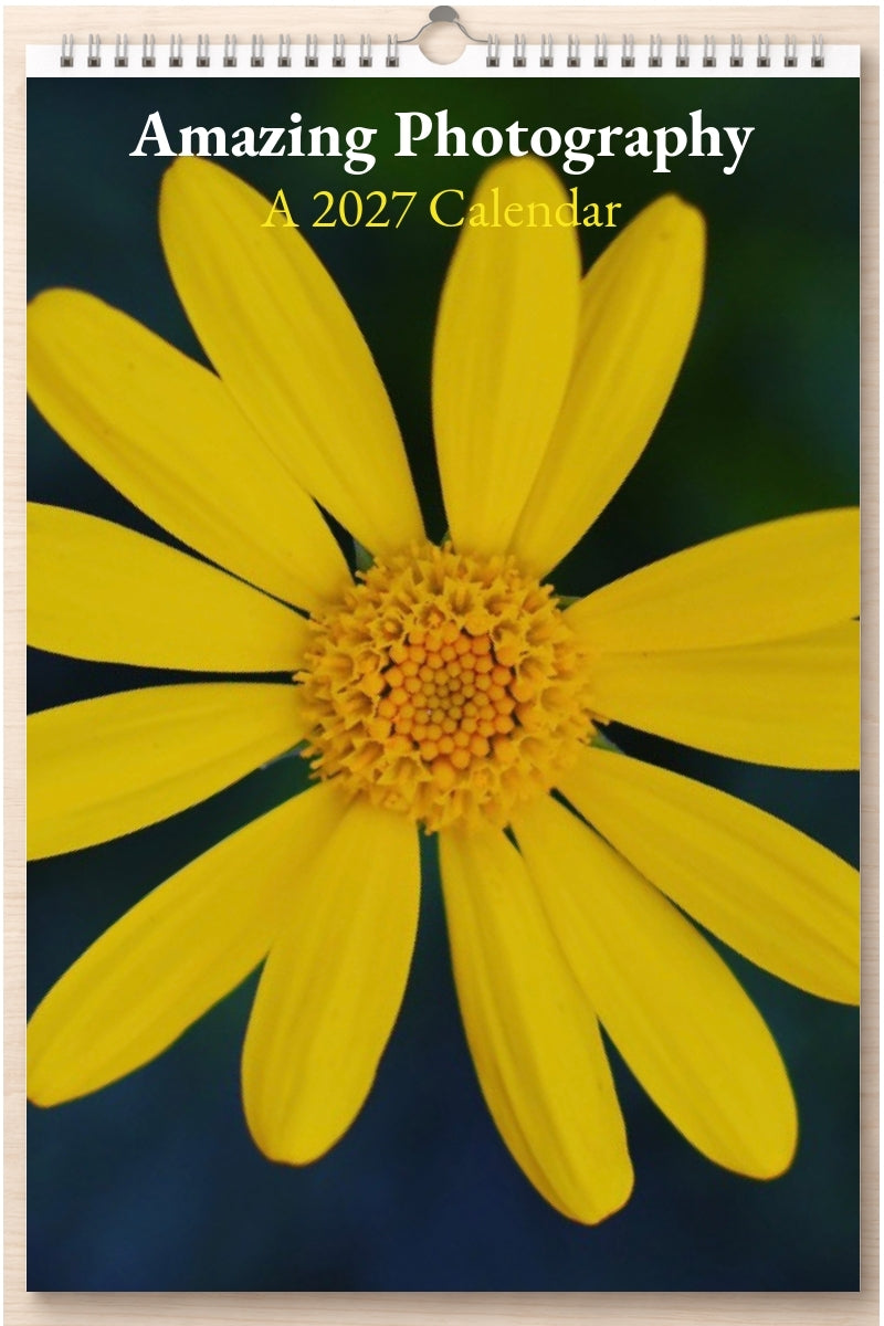 Amazing Photography: A 2027 Calendar