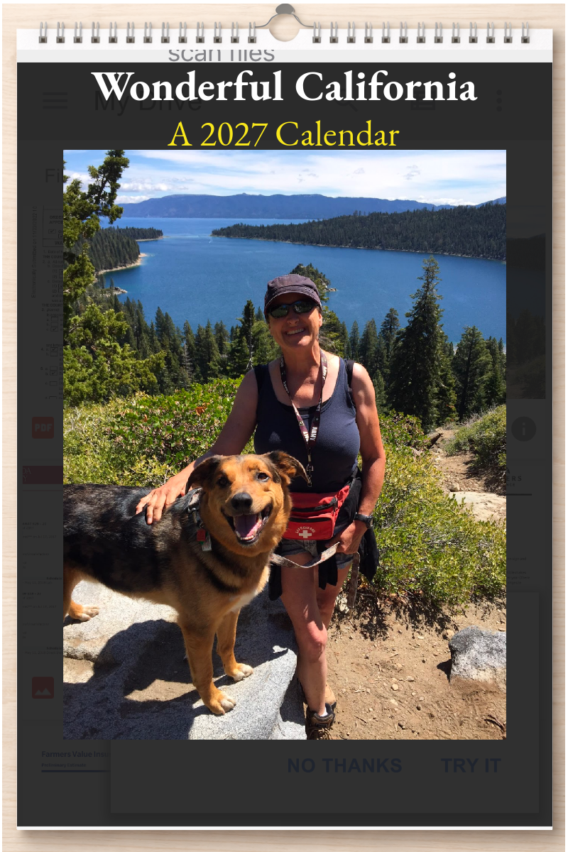 Wonderful California: A 2027 Calendar